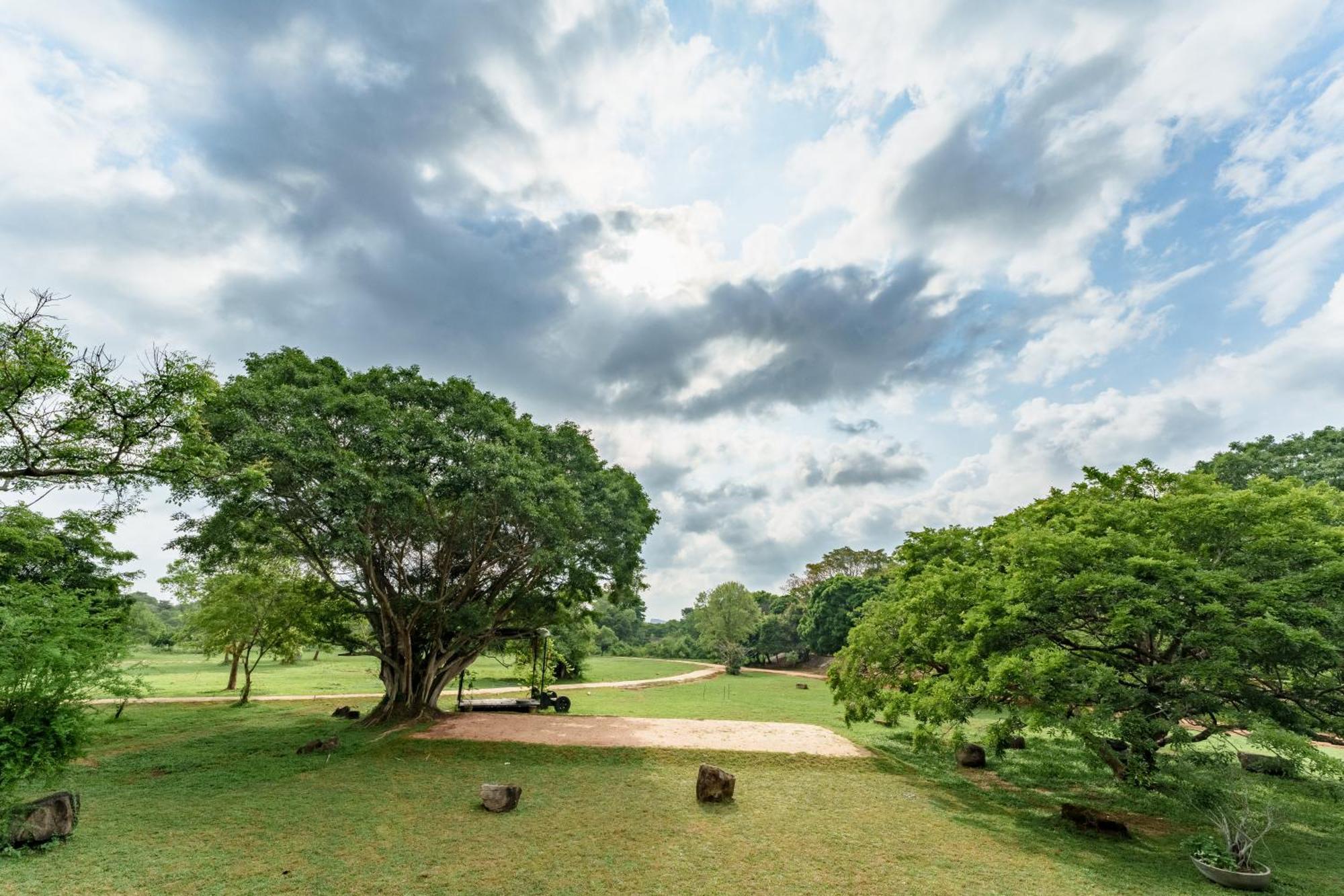 Ayugiri Ayurveda Wellness Resort Sigiriya Exterior foto